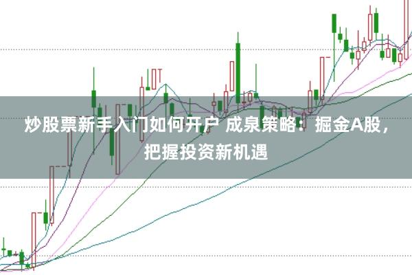 炒股票新手入门如何开户 成泉策略：掘金A股，把握投资新机遇