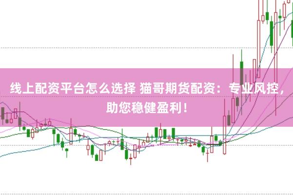 线上配资平台怎么选择 猫哥期货配资：专业风控，助您稳健盈利！