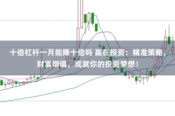 十倍杠杆一月能赚十倍吗 赢在投资：精准策略，财富增值，成就你的投资梦想！