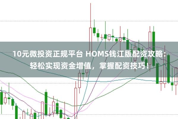 10元微投资正规平台 HOMS钱江版配资攻略：轻松实现资金增值，掌握配资技巧！