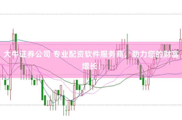 大牛证券公司 专业配资软件服务商，助力您的财富增长！