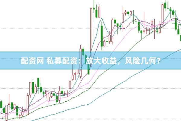 配资网 私募配资：放大收益，风险几何？