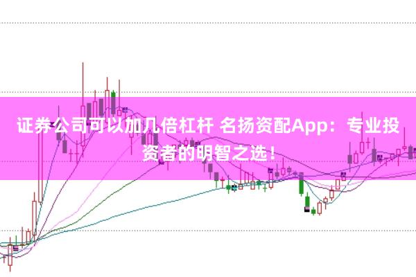 证券公司可以加几倍杠杆 名扬资配App：专业投资者的明智之选！