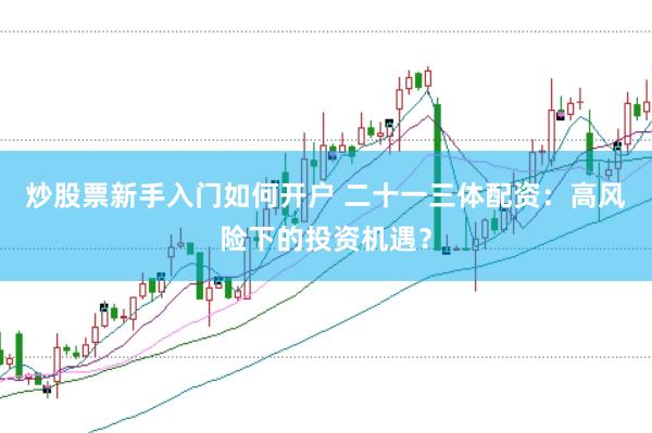 炒股票新手入门如何开户 二十一三体配资：高风险下的投资机遇？