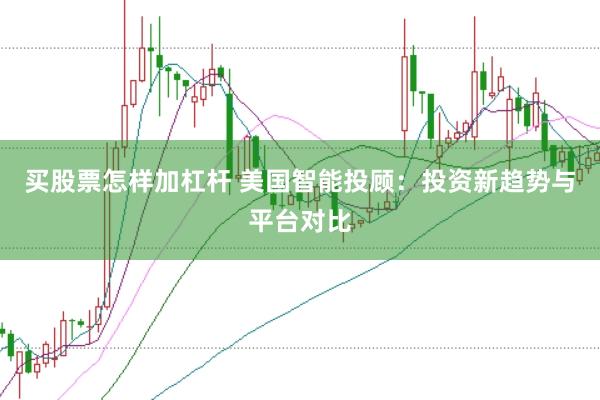 买股票怎样加杠杆 美国智能投顾：投资新趋势与平台对比