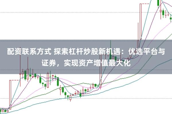 配资联系方式 探索杠杆炒股新机遇：优选平台与证券，实现资产增值最大化