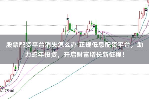 股票配资平台消失怎么办 正规低息配资平台,助力蛇年投资,开启财富增长新征程!