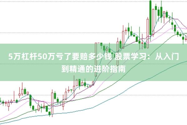 5万杠杆50万亏了要赔多少钱 股票学习：从入门到精通的进阶指南
