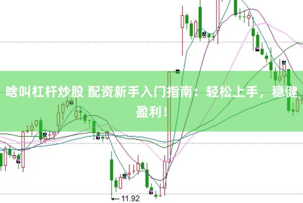 啥叫杠杆炒股 配资新手入门指南:轻松上手,稳健盈利!