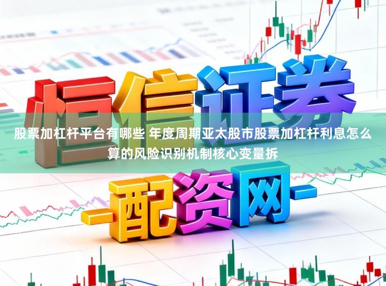 股票加杠杆平台有哪些 年度周期亚太股市股票加杠杆利息怎么算的风险识别机制核心变量拆