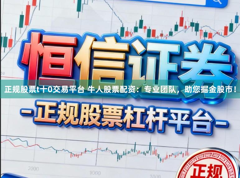 正规股票t十0交易平台 牛人股票配资：专业团队，助您掘金股市！